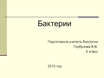 Презентация по биологии на тему Строение бактерий (5 класс)