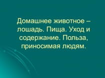 Домашнее животное – лошадь. Пища. Уход и содержание. Польза, приносимая людям.
