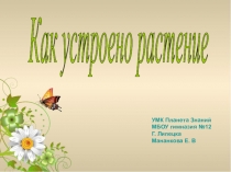 Презентация к уроку окружающего мира по теме Как устроено растение УМК Планета Знаний 1 класс