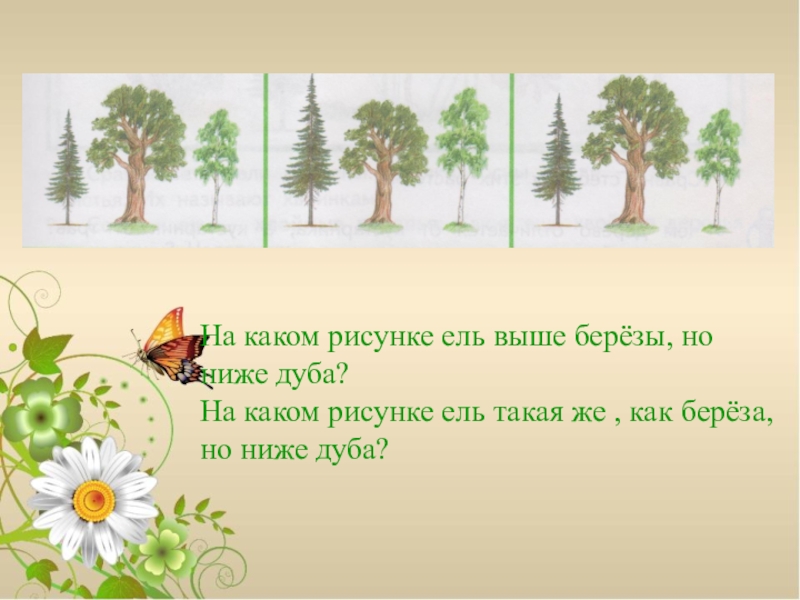 Береза выше ели на 3 5 14. Окружающий мир 1 класс как устроено растение. Как устроено растение 1 класс Планета знаний. Рисунок растения 1 класс Планета знаний. Как устроено растение 1 класс Планета знаний презентация.