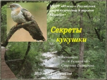 Презентация к исследовательской работе Секреты кукушки
