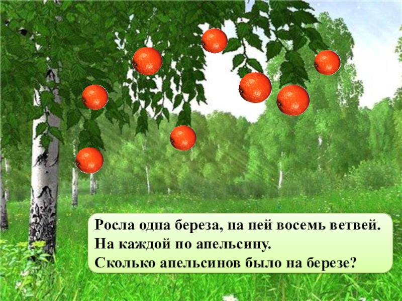 Пословица не родятся апельсинки. Что растет на Березе. Росла Березка. На берёзе растут яблоки. Береза и яблоня.