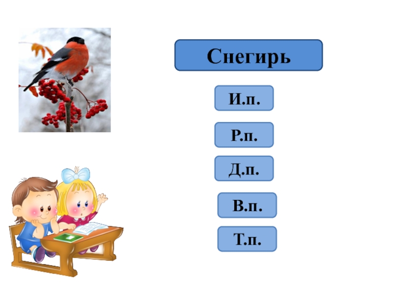 Снегири просклонять по падежам