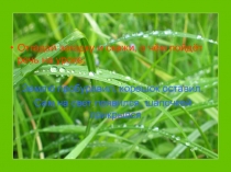 Презентация по природоведению на тему Шляпочные грибы 5 класс для обучающихся с умственной отсталостью