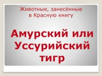 Презентация к уроку окружающий мир по теме Животные Красной книги. Амурский тигр