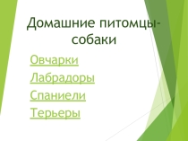 Презентация по окружающему миру