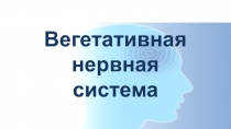 Презентация по биологии Вегетативная нервная система(8 класс)