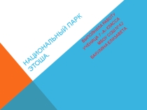 Презентация по теме Национальный парк Африки - Этоша ученицы 7 А класса Бакулиной Елизаветы