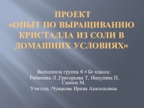 Проект по географии Выращивание кристалла в домашних условиях
