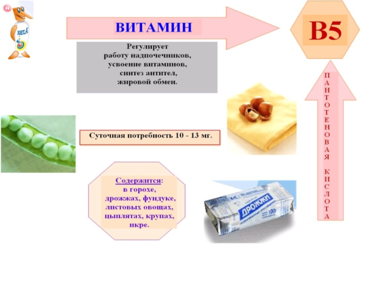 Витамины презентация егэ