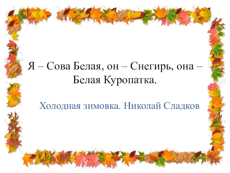 Я – Сова Белая, он – Снегирь, она – Белая Куропатка. Холодная зимовка. Николай Сладков