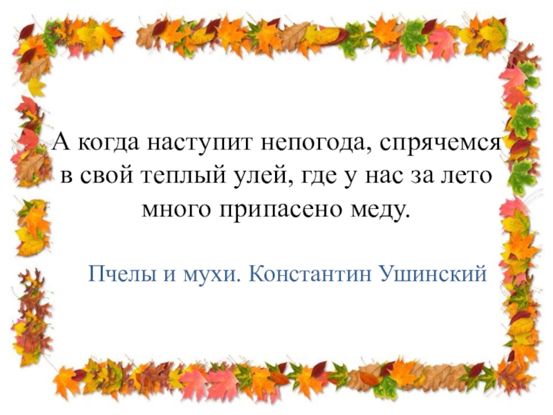 А когда наступит непогода, спрячемся в свой теплый улей, где у нас за лето много припасено меду.