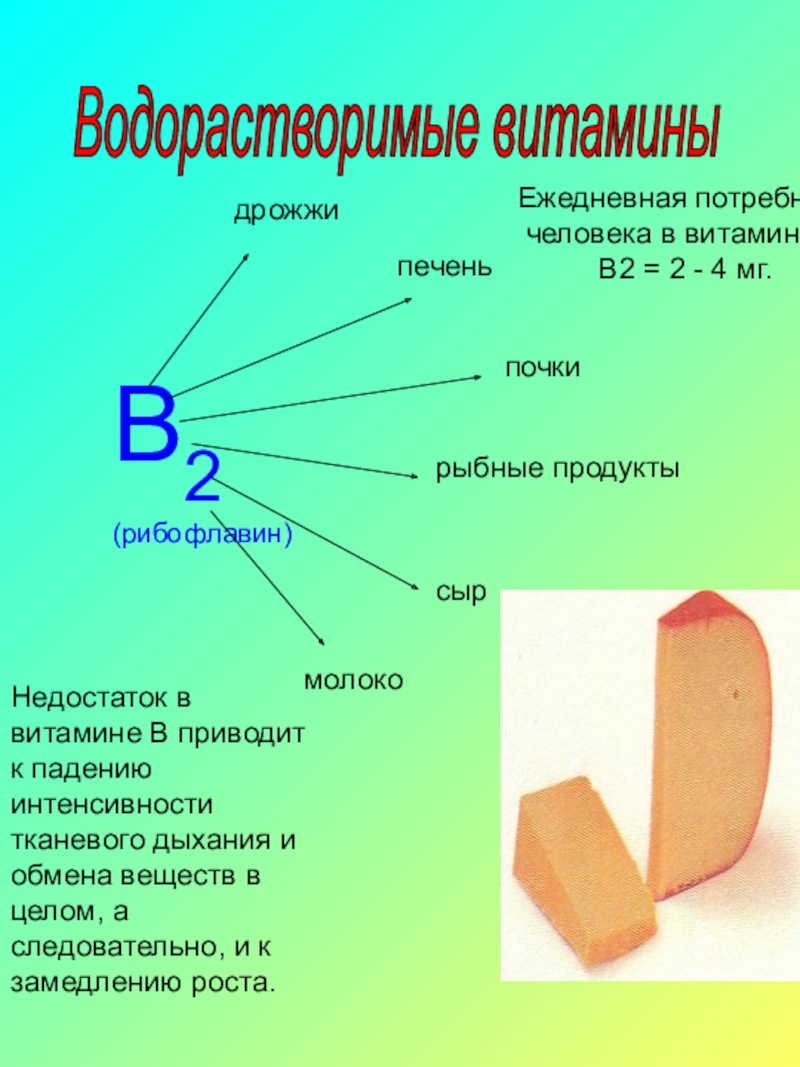 Дрожжи витамины. Водорастворимые витамины в2. Пищевые дрожжи витамины. Какие витамины в дрожжах.