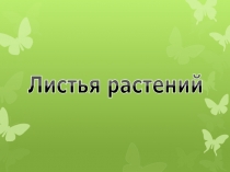 Презентация по окружающему миру Листья растении