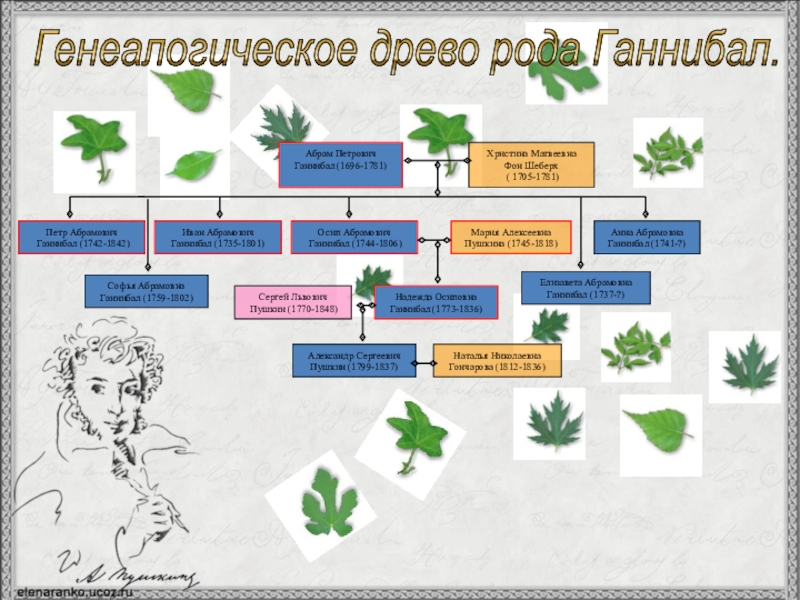 Родословная ганнибалов