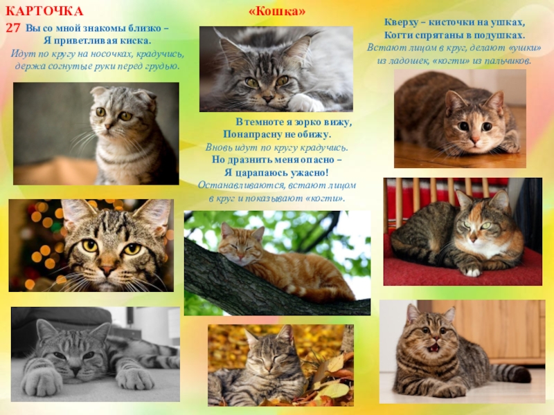 Картотека логоритмических упражнений для работы с детьми старшего дошкольного возраста Вы со мной знакомы близко –Я приветливая киска.Идут по кругу на Вы со мной знакомы близко –Я приветливая киска.Идут по кругу на носочках, крадучись,держа согнутые руки перед грудью.«Кошка»Кверху