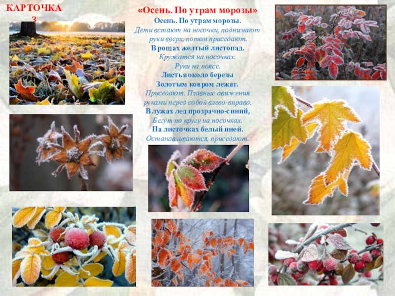 Картотека логоритмических упражнений для работы с детьми старшего дошкольного возраста «Осень. По утрам морозы»Осень. По утрам морозы.Дети встают на носочки, поднимают «Осень. По утрам морозы»Осень. По утрам морозы.Дети встают на носочки, поднимают руки вверх, потом приседают.В рощах желтый
