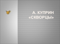 Презентация по литературному чтению по теме А. И. Куприн Cкворцы.