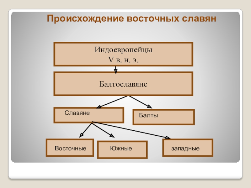 Восточные славяне схема. Индоевропейцы балтославяне схема. Происхождение восточных славян индоевропейцы балтославяне. Индоевропейцы балтославяне схема происхождение восточных славян. Происхождение славян( индоевропейцы - балтославяне-славяне).