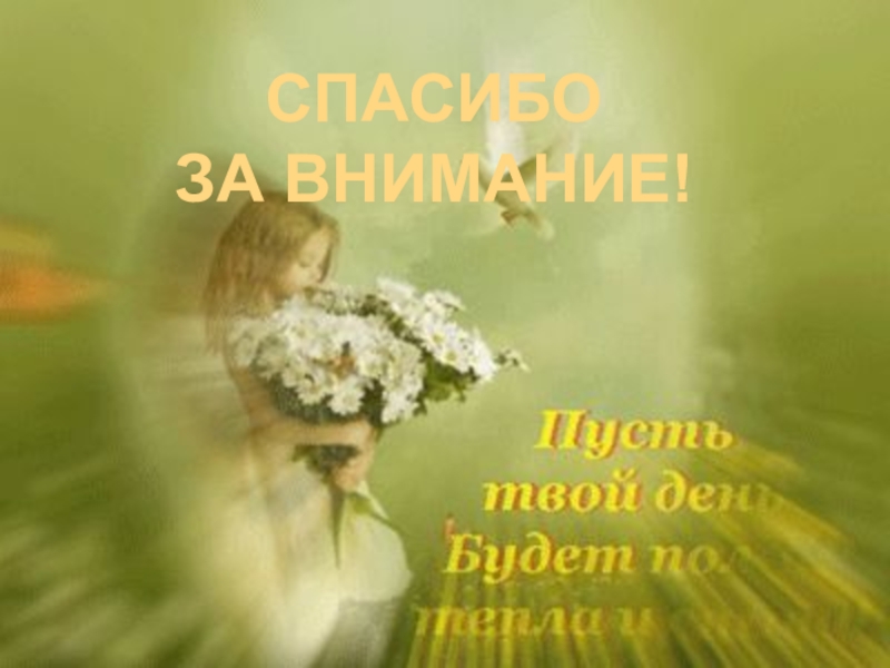 Профилактика асоциальных явлений СПАСИБО ЗА ВНИМАНИЕ! СПАСИБО ЗА ВНИМАНИЕ!