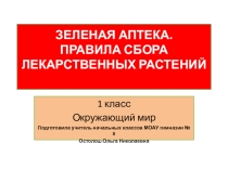 Презентация по окружающему миру Зелёная аптека 1 класс