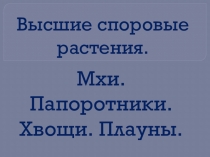 Презентация по биологии Мхи. Папоротники.