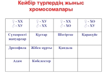Жыныс генетикасы тақырыбына презентация (10 сынып)