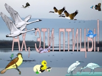 Презентация к празднику День птиц для младших школьников.