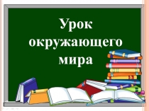 Презентация у уроку окружающего мира Тундра (4 класс)