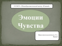 Презентация занятия Чувства и Эмоции