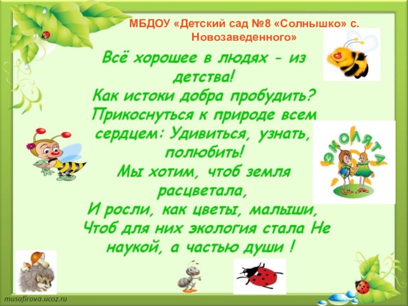 Стишок про эколят. Стихи про Эколята-дошколята. Стихотворение про Эколят. Стих про Эколят дошколят.