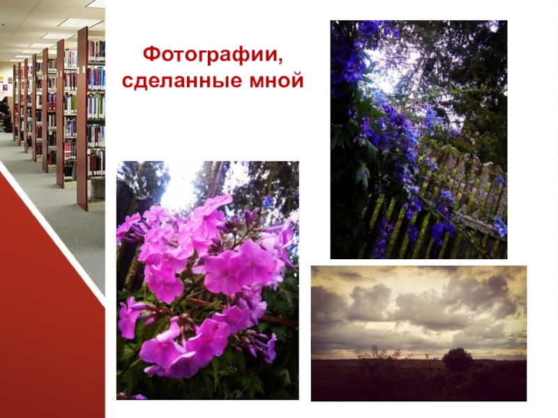 Презентация к проекту Большой путь маленького фотоаппарата Фотографии, сделанные мной Фотографии, сделанные мной