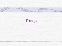 Презентация по теме класс Птицы
