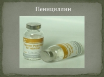 Презентация по биологии на тему:Пенициллин
