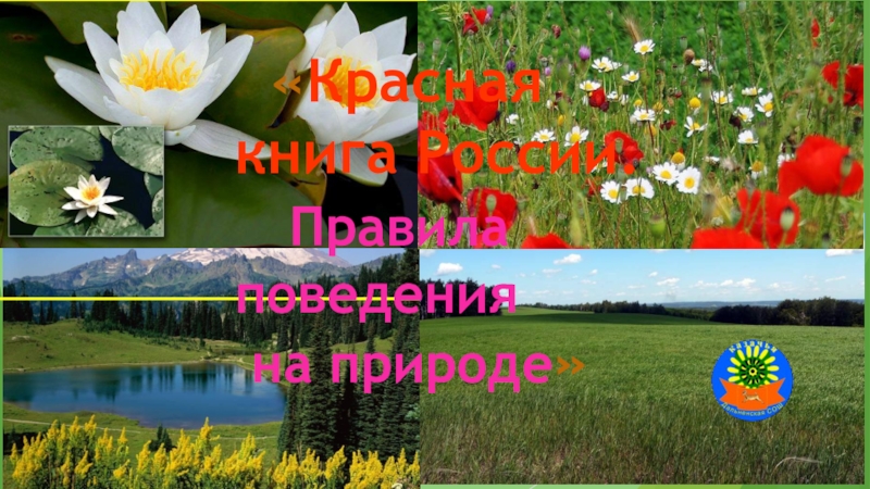 Презентация Красная Книга России. Охрана природы