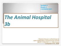 Презентация для урока: The Animal Hospital 2b 4 класс