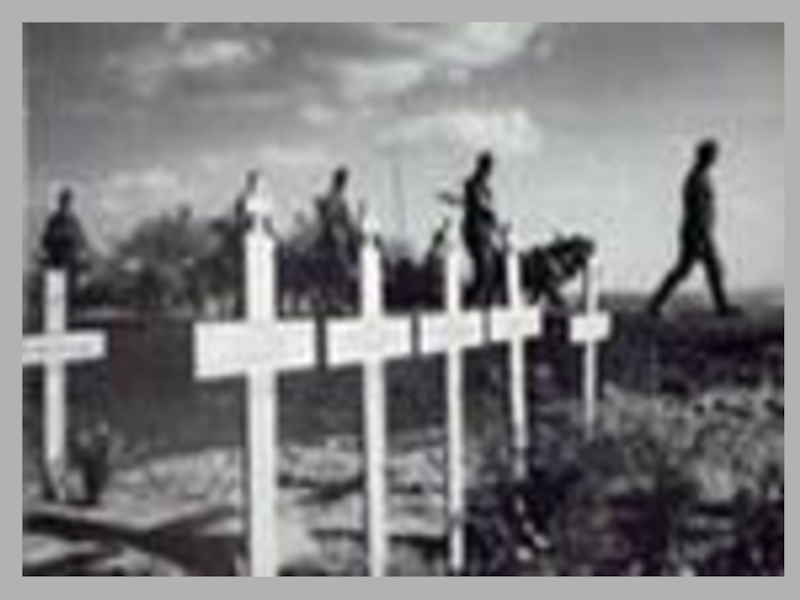 Сколько немцев погибло в великой. Могилы солдат нацистской Германии. Останки солдат вермахта. Потеря фото.