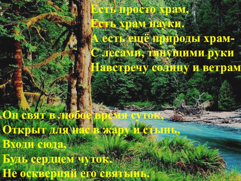 Мой лес. Храм природы стихотворение. Стихи о мой храм это лес... Природа мой храм. С лесами, тянущими руки навстречу солнцу и ветрам.