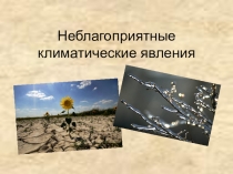 Презентация Неблагоприятные климатические явления