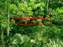 Презентация по биотехнологии Микроклональное размножение