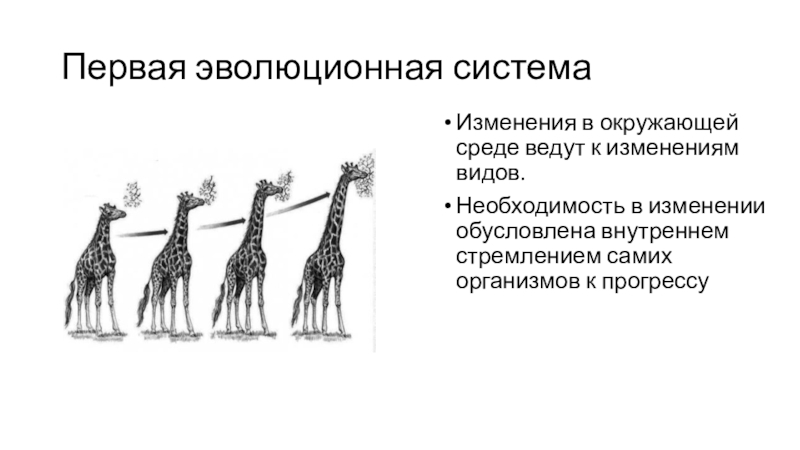 Типы эволюционных изменений презентация