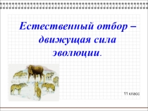 Презентация Естественный отбор – движущая сила эволюции