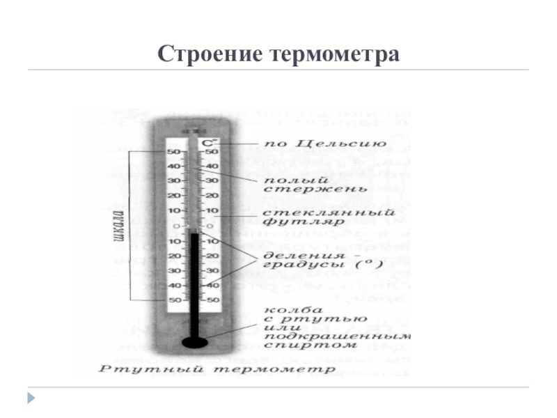 Из каких частей состоит термометр 2 класс. Строение ртутного градусника. Строение термометра. Из чего состоит градусник.