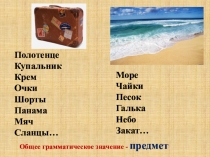 Презентация к уроку Имя существительное (5 класс)