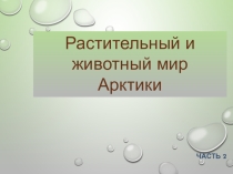 Презентация Растительный и животный мир Арктики
