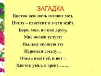 Презентация по теме Типы плодов и их значение в жизни человека и животных