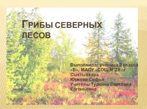 Презентация по краеведению на тему  Грибы северных лесов ( 2 класс)