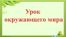 Презентация по окружающему миру на тему Что такое минералы? 3 класс