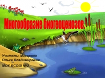 Презентация по биологии на тему: Многообразие биогеоценозов (10 класс)