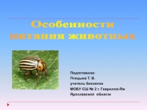 Презентация по биологии на тему Питание животных 6 класс